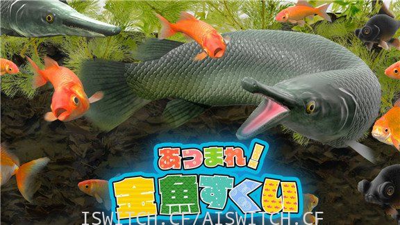 捞金鱼/官方中文/[NSP]