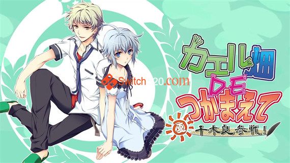 蛙畑奇事 夏千木良参战|日文|NSP-XCI|原版+魔改11.0.0