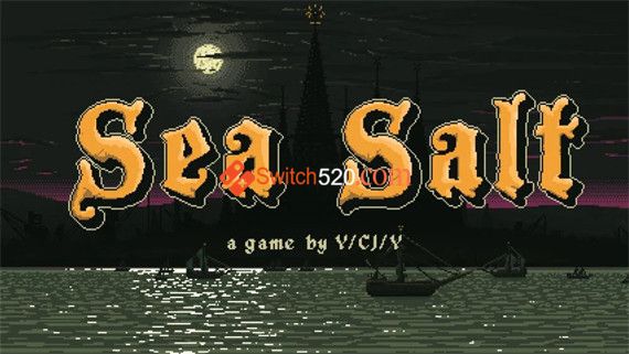 海盐|官方中文|本体+1.1.2b|NSZ|原版