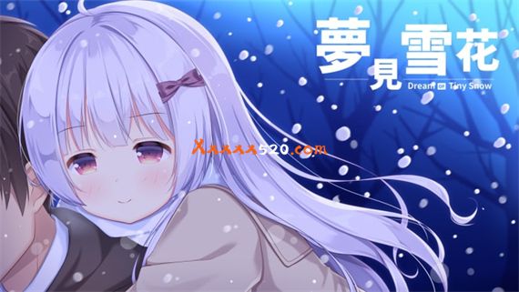 梦见雪花|官方中文|NSZ|原版