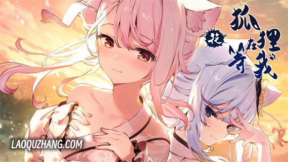 狐狸在等我花|官方中文|本体+1.0.2升补|NSZ|原版