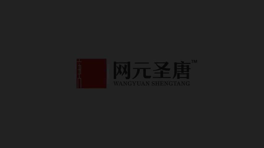 神舞幻想 Faith of Danschant|【亲测可用】解压即撸|神舞幻想|官方中文|斗神剑尊-君子心+MOD+全DLC MOD