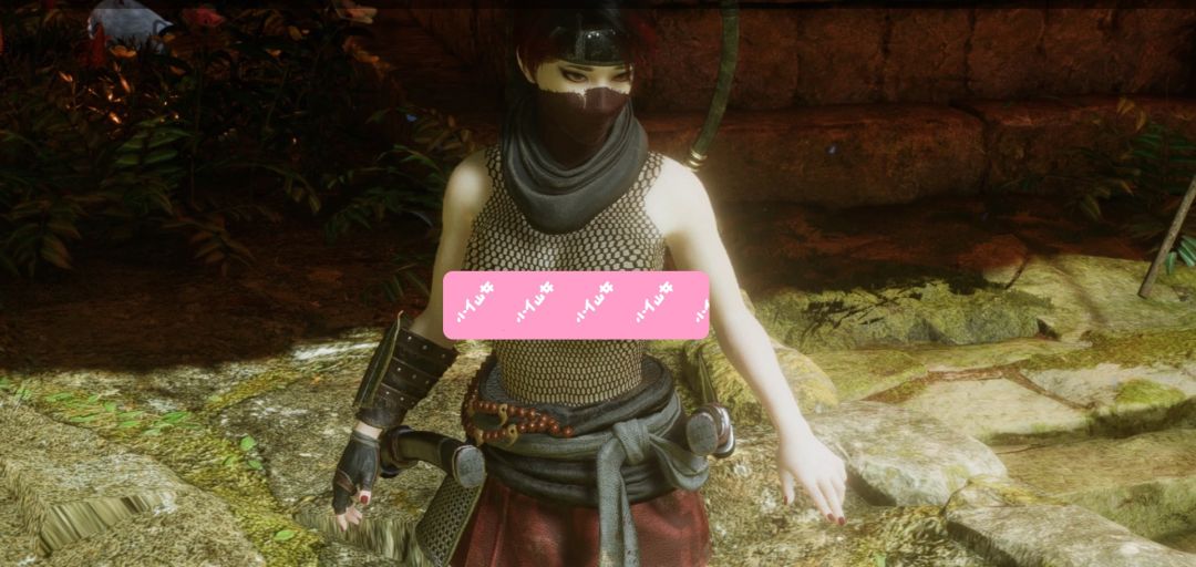 仁王3清凉忍者服（仅保留渔网） MOD