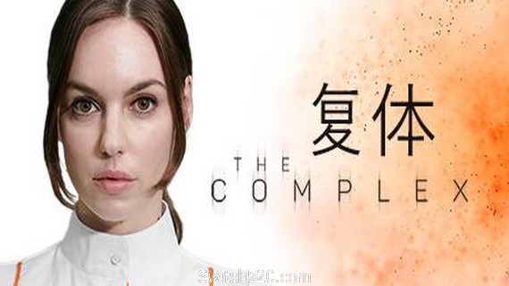 复体/The Complex