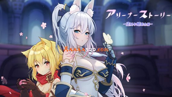 斗技场物语 盗贼与姬骑士篇|官方中文|Build.10801851-冰华晶瑩-云鬓乱舞+全DLC|解压即撸