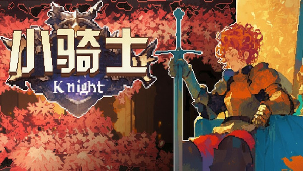 小骑士|官方中文|20643937解压即撸