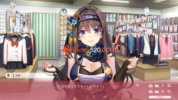 性感女忍同居生活2/官方中文/[NSP-XCI][原版+魔改10.2.0]