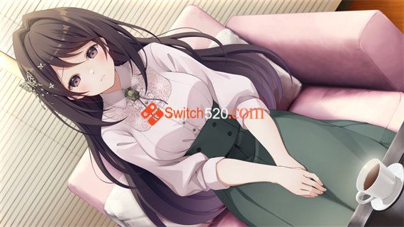 角色扮演爱情 魔法公主|官方中文|NSP|原版
