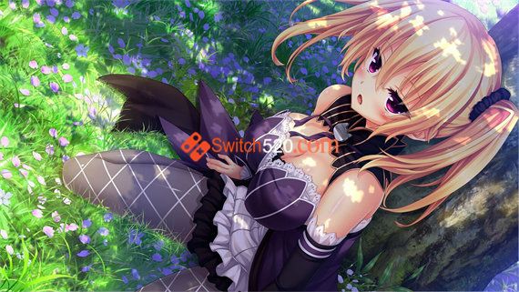 野良与皇女与流浪猫之心HD|汉化中文|NSP|原版