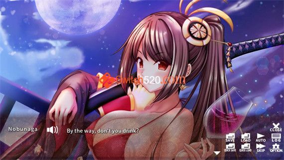 战国公主 与女武将一起统一天下|中文|NSZ|原版