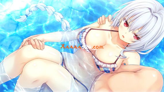 野良与皇女与流浪猫之心2|原汁日文|整合神秘果MOD|NSZ