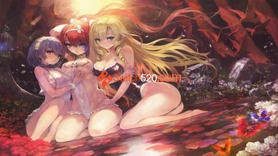 无夜国度2 新月的花嫁|日版日文|本体+1.0.2升补|NSP|原版