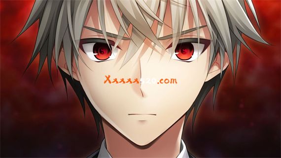比翼的禽|原汁日文|NSZ|原版