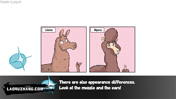 羊驼想知道为什么 Alpaca Wonders Why|官方中文|NSZ|原版