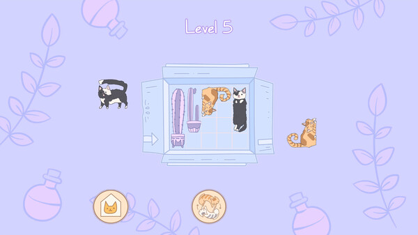 盒中猫 Cats in Boxes|官方中文|NSZ|原版