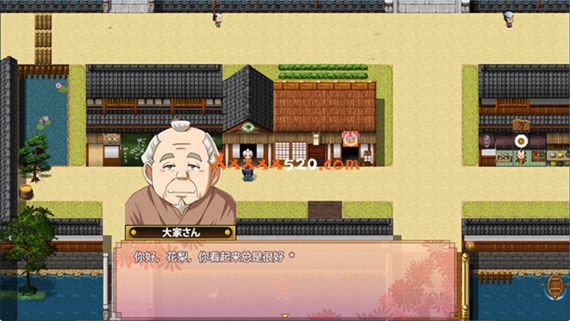 乱舞 女忍花梨|汉化中文|V230425-全存档+作弊|解压即撸