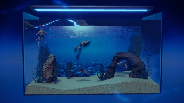 壮士水族馆 肌肉水族馆模拟器|官方中文|解压即撸
