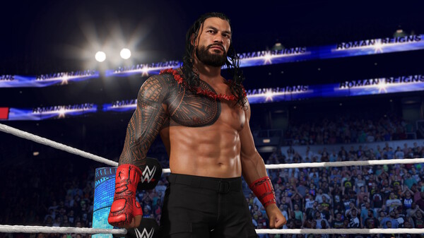 WWE 2K25 血亲家族版|官方英文|Build.20411003-无畏出击-铁血荣耀+预购特典+全DLC-支持手柄|解压即撸