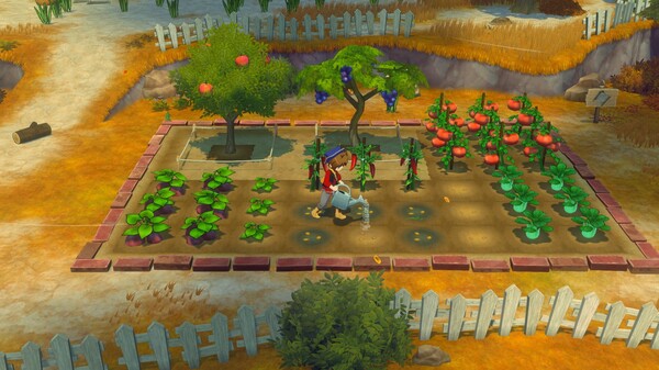牧场物语 来吧! 风之繁华集市|豪华中文|V1.5.0+预购特典+全DLC|解压即撸