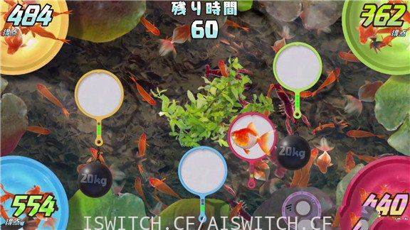 捞金鱼/官方中文/[NSP]