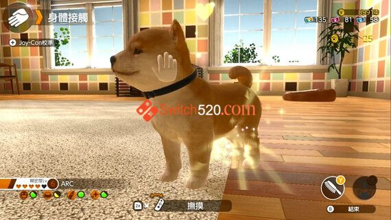 小小伙伴:狗狗与猫猫/官方中文/本体+1.0.1升补/[NSP]