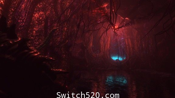 黑暗欲望/官方中文/本体+1.0.1升补/[NSZ][稀缺资源]