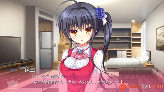 金辉恋曲四重奏 2部合集/原汁日文/[XCI][NSP]