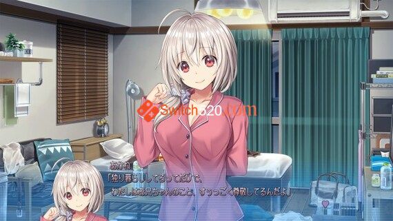 我亲爱的哥哥/原汁日文/[NSP-XCI][原版+魔改11.0.0]