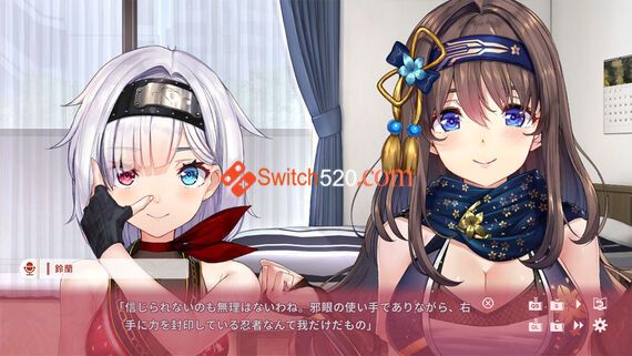 性感女忍同居生活2/官方中文/[NSP-XCI][原版+魔改10.2.0]
