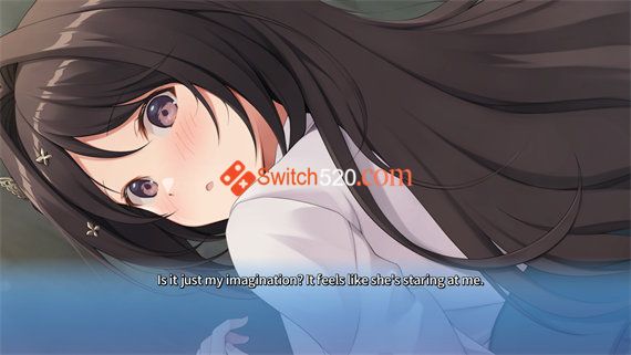 角色扮演爱情 魔法公主|官方中文|NSP|原版