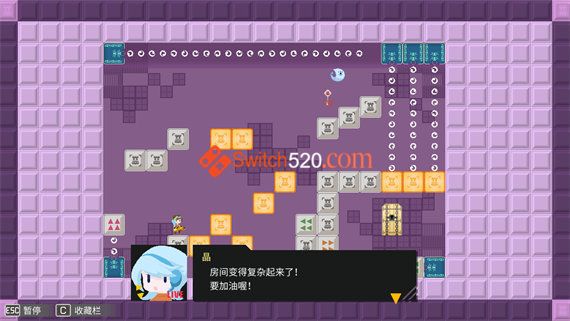 查卡王的迷宫|官方中文|NSP|原版