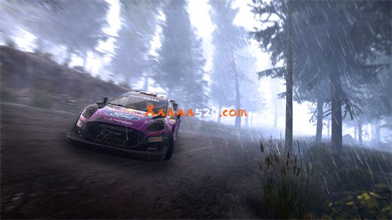 WRC 世界汽车拉力锦标赛 新世代|官方中文|V20230117+全DLC捆绑包|解压即撸