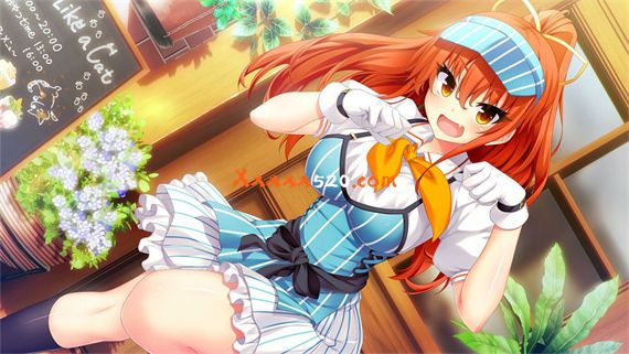 野良与皇女与流浪猫之心1|原汁日文|整合神秘果MOD|NSZ