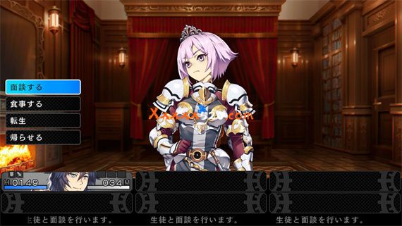 蓝翼之骑士|原汁日文|NSZ|原版