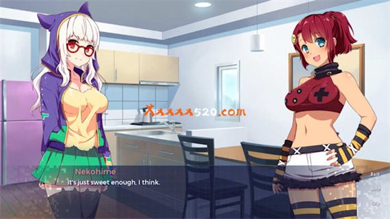 樱花玩家 Sakura Gamer|官方中文|NSZ|原版