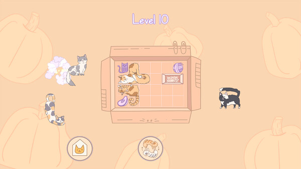 盒中猫 Cats in Boxes|官方中文|NSZ|原版