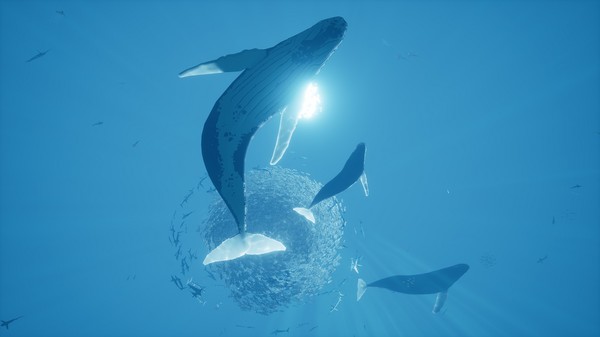 智慧之洋 ABZU|官方中文|本体+1.0.0.1升补|NSZ|原版