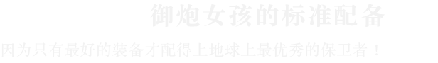 御炮少女|官方中文|Build.24812309+全DLC|解压即撸