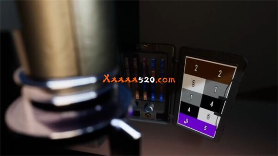 ROUGH JUSTICE 84|官方中文|V1.0.29|解压即撸