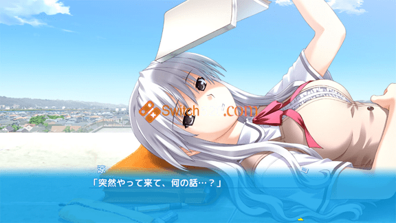 坂上台风 正式版/日文/[NSP-XCI][原版+魔改10.2.0]