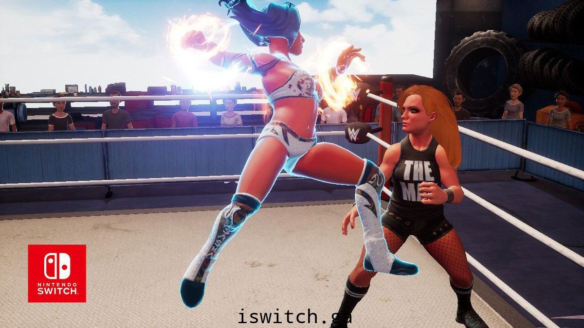 硬汉必玩/WWE 2K竞技场/官方中文/本体+升补/[NSP]