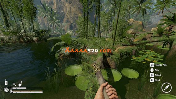丛林地狱|汉化中文|本体+2.0.0升补+汉化补丁|NSZ|原版