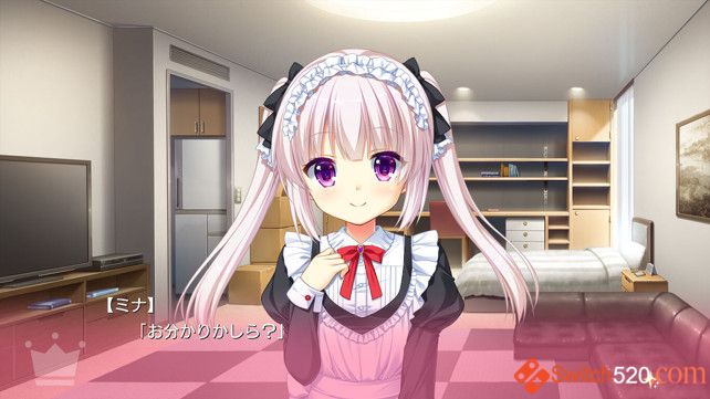 金辉恋曲四重奏 2部合集/原汁日文/[XCI][NSP]