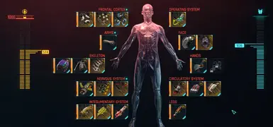 赛博朋克2077|提升 cyberware 容量 MOD