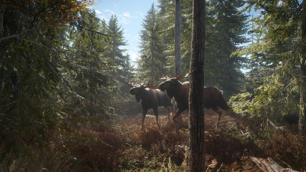 猎人 荒野的召唤|解压即撸| Build.25131233 |中文-全DLC