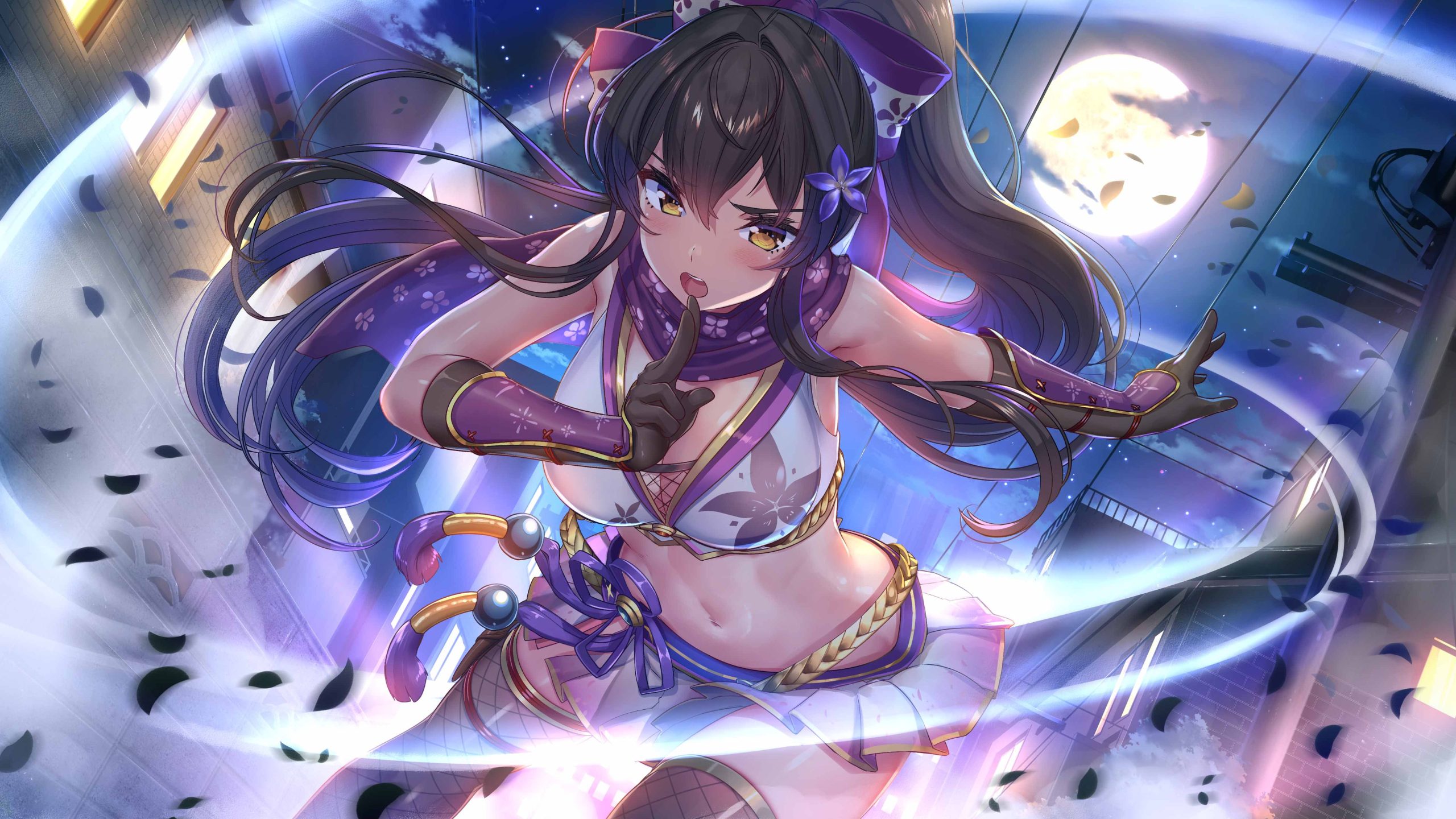 Days Collection 女忍者恋爱二部曲|官方中文|XCI