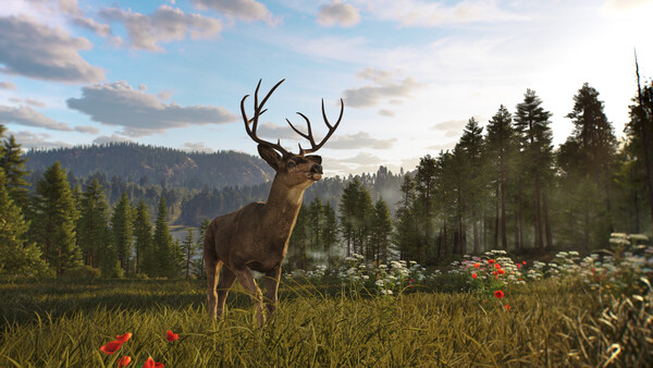 狩猎之道2/Way of the Hunter 2|解压即撸| V1.0.0 |官方中文-全DLC