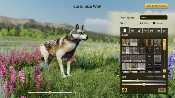 野狼谜踪:周年纪念版/WolfQuest: Anniversary Edition|解压即撸| Build.24797589 |官方中文