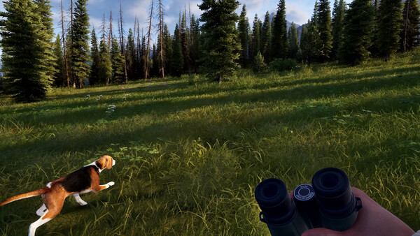 狩猎之道2/Way of the Hunter 2|解压即撸| V1.0.0 |官方中文-全DLC